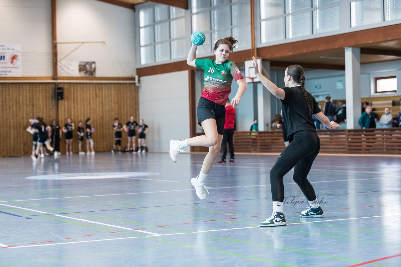 Bild 97 - wDJ HSG Kremperheide/Muensterdorf - TSV SR Schuelp : Ergebnis: 26:5